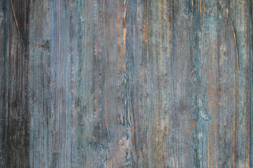 Obraz premium Wood Texture And Wood Background