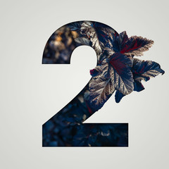 Nature concept. Creative number with autumn and burgundy leaves on a gray background. Creative typography, Chapter in the presentation, template. 2 number two.