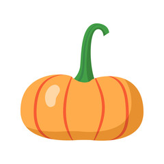 Pumpkin icon isolated on white background