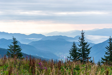 Beautiful view of the mountains on a sunny day in the summer. Western Carpathians, Slovakia, Little Fatra.
