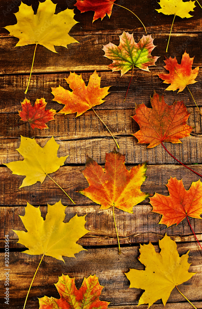Canvas Prints autumn background with maple leaves lie on horizontally arranged old wooden boards. top view wooden 