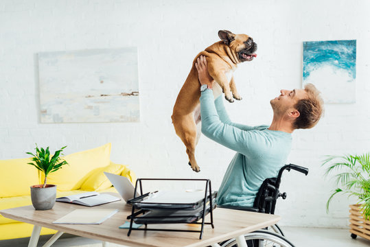 Smiling disabled man holding up french bulldog in living room