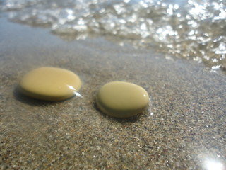 stones lie on the seashore