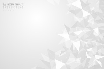 Abstract gray and white triangle polygonal pattern design background. illustration vector eps10