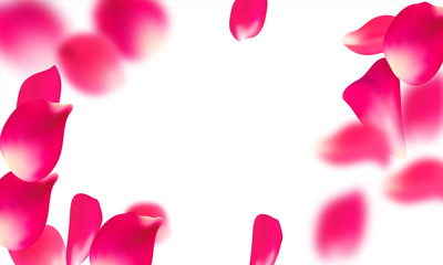 Pink falling petals falling. Rose flower pastel background.