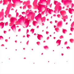 Pink falling petals flying. Sakura flower pastel texture background.