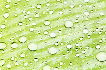 Water droplets and the color of raindrops in the rainy season