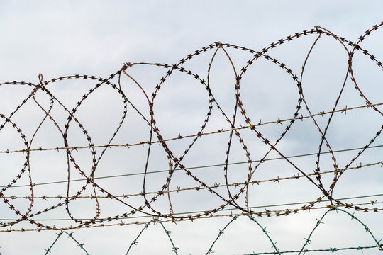 Circle Barbed Wire 