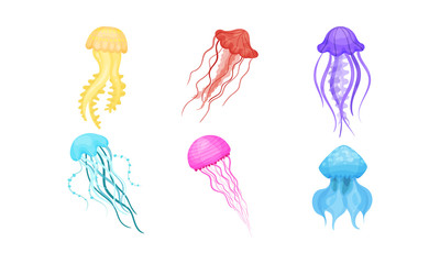 Set Of Bright Beautiful Colorful Jellyfishes Vector Illustration
