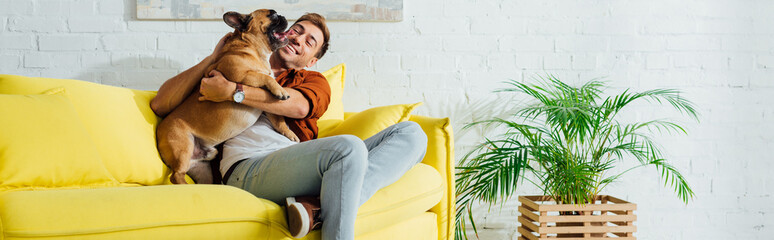 Panoramic shot of happy man hugging bulldog on sofa in living room - Powered by Adobe