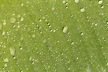 Water droplets and the color of raindrops in the rainy season