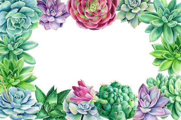 frame of multicolored succulents on an isolated white background, watercolor illustration, botanical painting