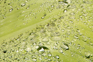 Water droplets and the color of raindrops in the rainy season