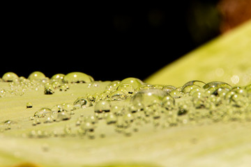 Water droplets and the color of raindrops in the rainy season
