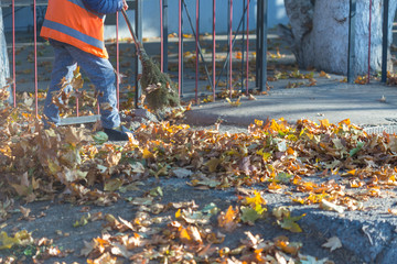 A cleaning lady cleans the dead side of the maple leaves from the sidewalk.