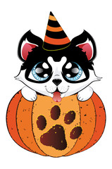 Husky in Pumpkin