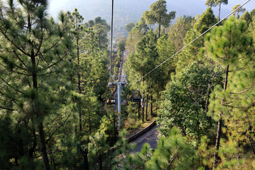 Obraz premium Lush Green Pine Trees Forest Landscape and Patriata Chairlift, New Murree, Punjab, Pakistan