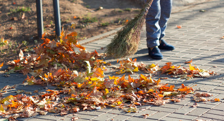 A cleaning lady cleans the dead side of the maple leaves from the sidewalk.