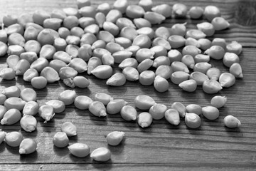 Semillas, granos de maiz, cereal americano. Foto en blanco y negro.