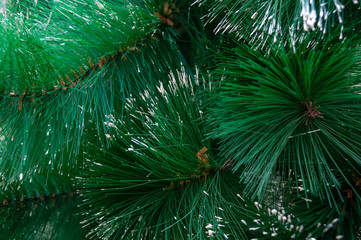 Beautiful artificial Christmas tree with fluffy green branches and white hoarfrost on needles...