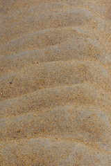 Patterns in the Sand on a Florida Beech