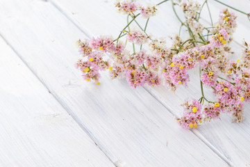 Fresh pink flowers on white wooden background