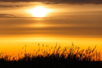 Sunrise with dark grass and sun with clouds