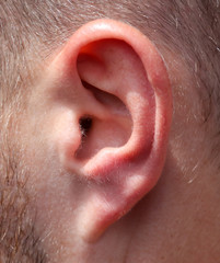 Ear on the man&rsquo;s head