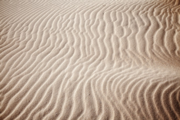 Obraz premium sand and wind patterns