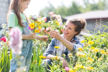 Mother and daughter picking pretty colourful flowers in their organic garden