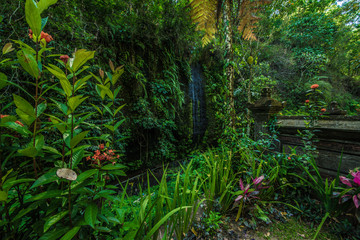 Fototapeta premium A beautiful view of Goah Raja Waterfall in Bali, Indonesia.