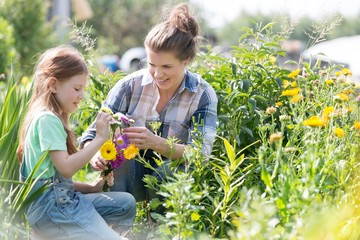 Mother and daughter picking pretty colourful flowers in their organic garden