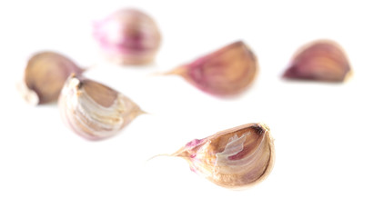Garlic isolated on a white background