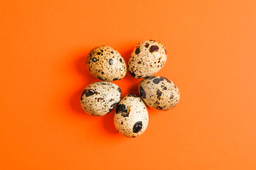 Obraz premium Quail eggs on color background, space for text