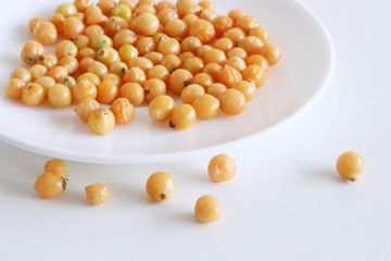 Yellow chilli isolated on white table. Free place for text.Capsicum chinense , Perola Laranja.Food concept.