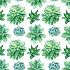 Fototapete Tropische Pflanzen nahtloses Muster aus Sukkulenten ein isolierter weißer Hintergrund, Aquarellillustration, botanische Malerei