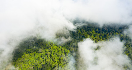 View from above, stunning aerial view of a tropical rainforest with clouds formed from water vapor released from trees and other plants throughout the day. Taman Negara National Park, Malaysia.