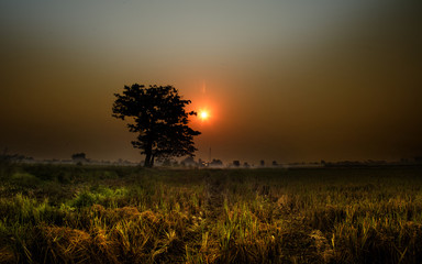 Vietnam countryside landscape in the dawn.