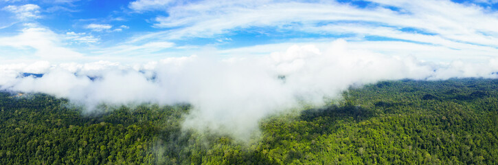 View from above, stunning panoramic view of the Taman Negara National Park with the tropical rainforest and beautiful soft clouds. Taman Negara National Park, Kuala Tahan, Pahang State, Malaysia.