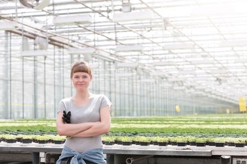 Portrait of confident young female botanist standing with arms crossed against herbs in greenhouse