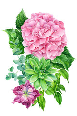 elegant, bouquet of flowers, succulent, eucalyptus, hellebore, pink hydrangea on an isolated white background, watercolor illustration