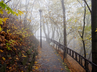 fog in the park of the city of Lviv, Ukraine