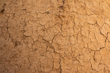 soil cracked background, land in dry season , Dried cracked earth soil ground texture background