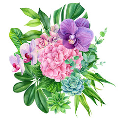 elegant bouquet of flowers,succulent, eucalyptus, pink hydrangea, orchid on an isolated white background, watercolor illustration