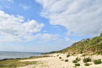 Fototapeta na wymiar 久高島の浜