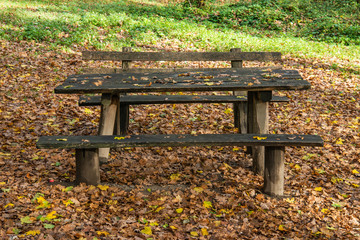 Wooden table and bench in the beautiful autumn park