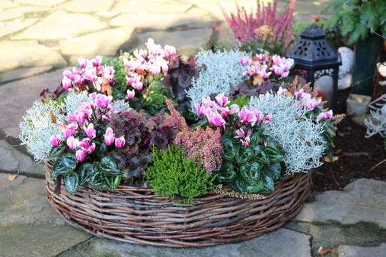 Korb mit Blumen auf dem Friedhof im Herbst 