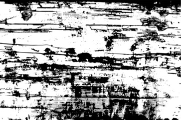 Distress Overlay Texture for your design. EPS 10 vector