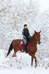 Equestrian sportive girl riding her horse in fresh snow forest