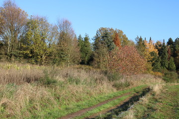 Naturlandschaft im Herbst 